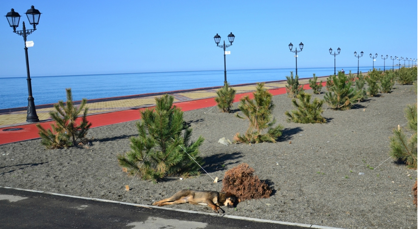 Sochi - Sochi, Abandoned - Roads & Kingdoms - Ashes to ashes, Olympic Village to dust. When I stood with Andrey Martinov in   front of the ruins of his home near Sochi's Imeritinsky Beach a year and a halfÂ ...